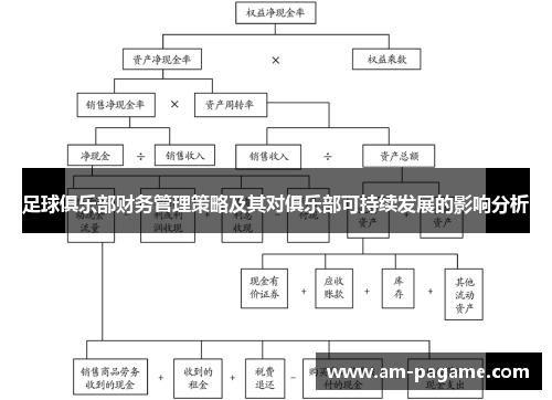 足球俱乐部财务管理策略及其对俱乐部可持续发展的影响分析