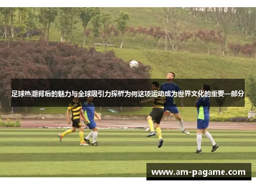 足球热潮背后的魅力与全球吸引力探析为何这项运动成为世界文化的重要一部分