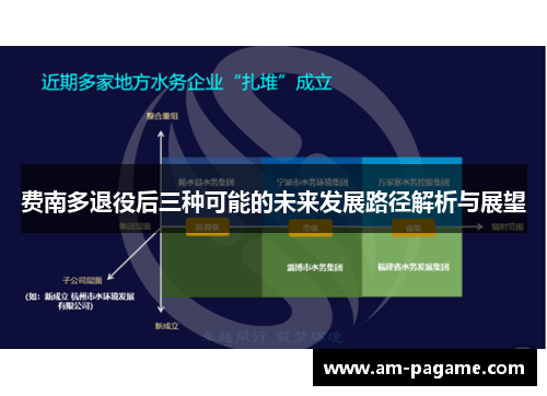 费南多退役后三种可能的未来发展路径解析与展望