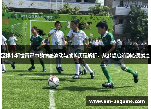 足球小将世青篇中的情感波动与成长历程解析：从梦想启航到心灵蜕变