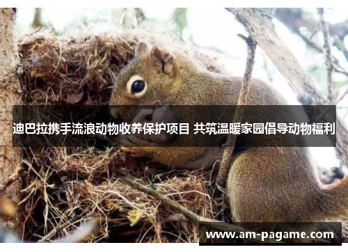 迪巴拉携手流浪动物收养保护项目 共筑温暖家园倡导动物福利 迪巴拉携手流浪动物收养保护项目 共筑温暖家园倡导动物福利