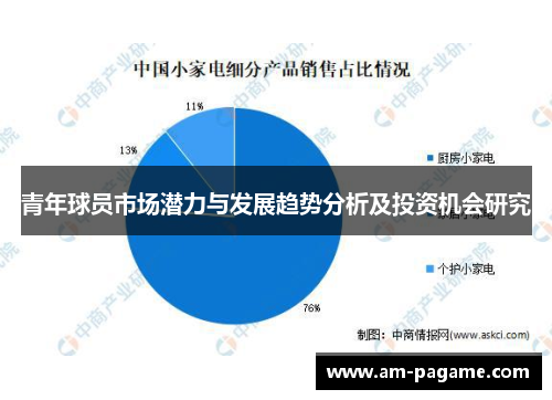 青年球员市场潜力与发展趋势分析及投资机会研究 青年球员市场潜力与发展趋势分析及投资机会研究