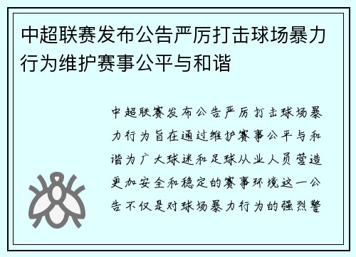 中超联赛发布公告严厉打击球场暴力行为维护赛事公平与和谐 中超联赛发布公告严厉打击球场暴力行为维护赛事公平与和谐